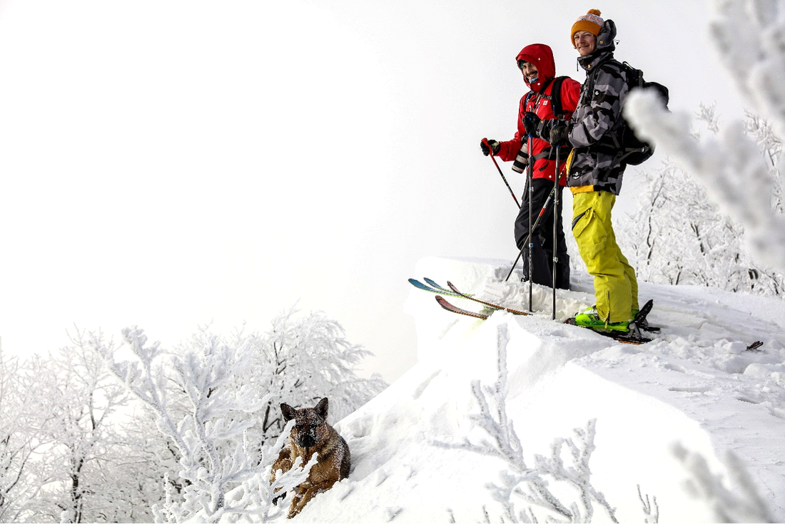 Obrazdwoje ludzi w górach uprawia skitouring