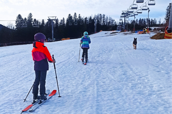 Obrazdziecko na nartach w górach uprawia skitouring, ma narty, kije i wiązania skiturowe
