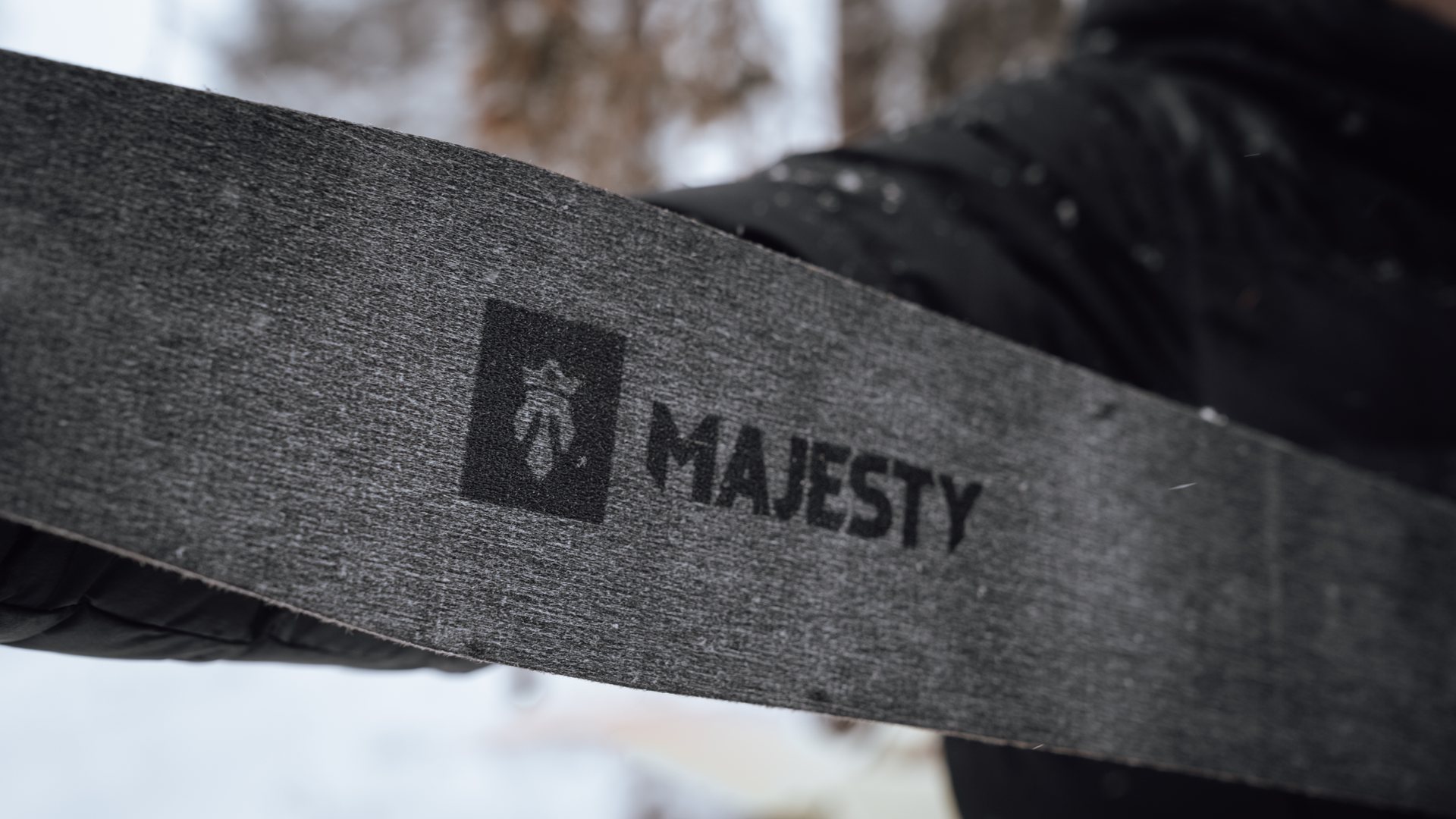 Zbliżenie włóknistej powierzchni czarnej foki Majesty.